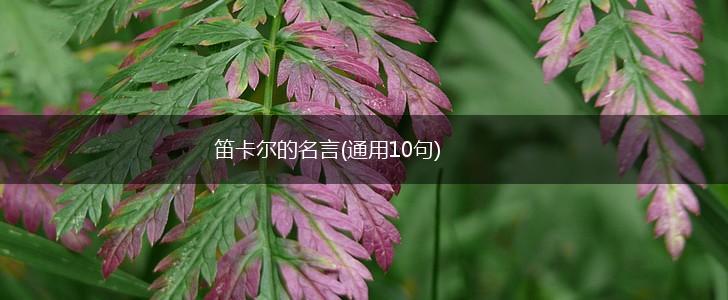 笛卡尔的名言(通用10句),第1张