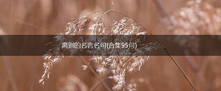 离别的名言名句(合集95句),第1张