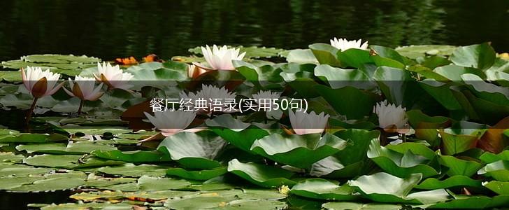 餐厅经典语录(实用50句),第1张