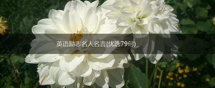 英语励志名人名言(优选79句),第1张