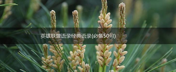 英雄联盟语录经典语录(必备50句),第1张