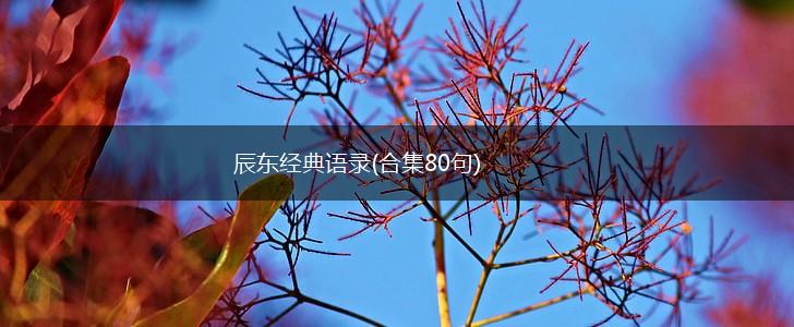 辰东经典语录(合集80句),第1张