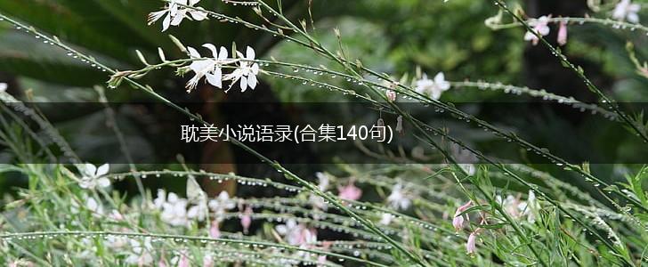 耽美小说语录(合集140句),第1张