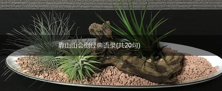 靠山山会倒经典语录(共20句),第1张