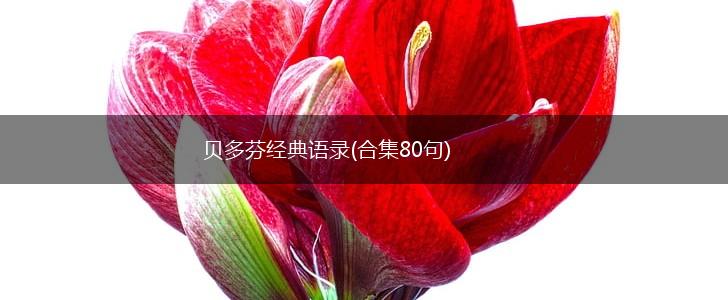贝多芬经典语录(合集80句),第1张