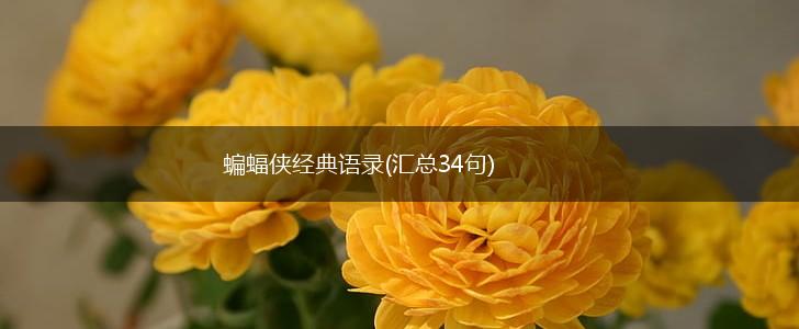 蝙蝠侠经典语录(汇总34句),第1张
