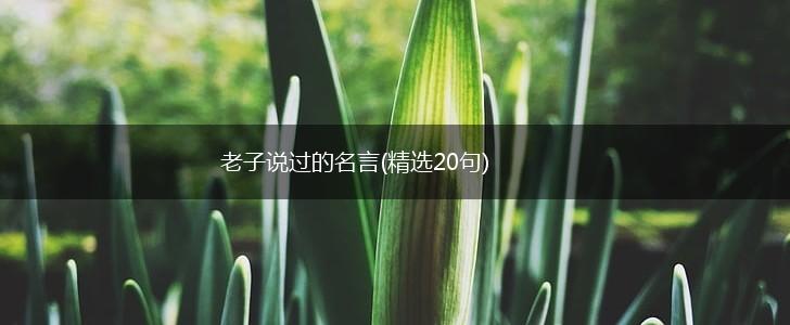 老子说过的名言(精选20句),第1张 老子说过的名言(精选20句),第1张