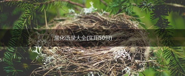 黑化语录大全(实用50句),第1张