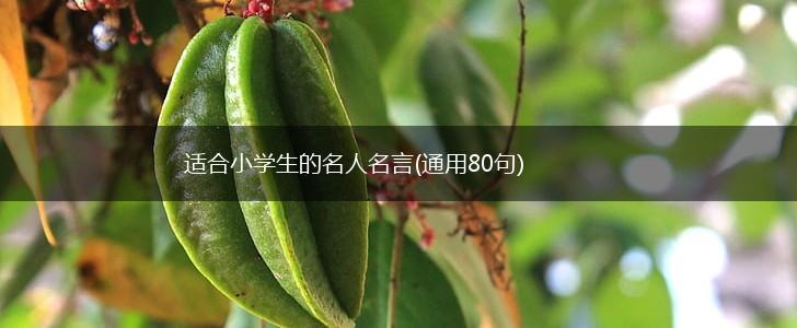 适合小学生的名人名言(通用80句),第1张 适合小学生的名人名言(通用80句),第1张