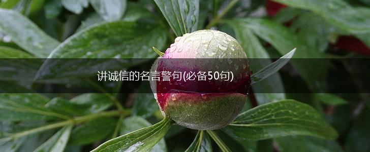 讲诚信的名言警句(必备50句),第1张