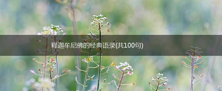 释迦牟尼佛的经典语录(共100句),第1张