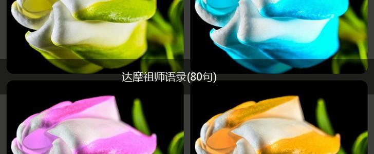 达摩祖师语录(80句),第1张