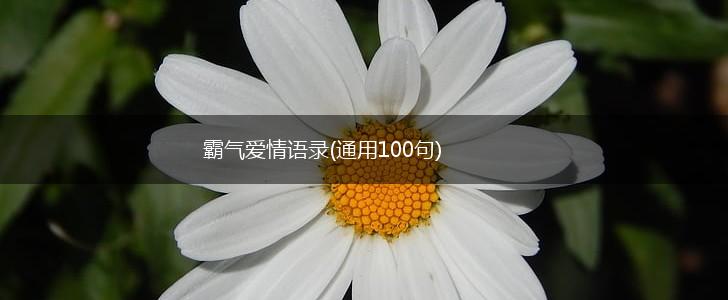 霸气爱情语录(通用100句),第1张