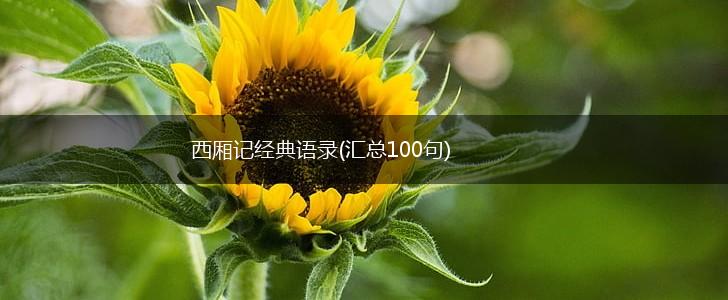 西厢记经典语录(汇总100句),第1张