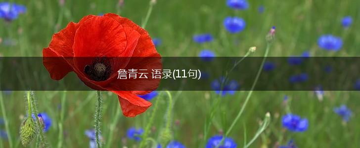 詹青云 语录(11句),第1张