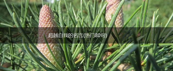 超越自我的名言(热门80句),第1张