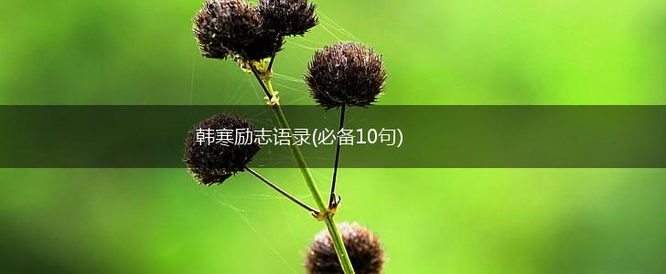 韩寒励志语录(必备10句),第1张