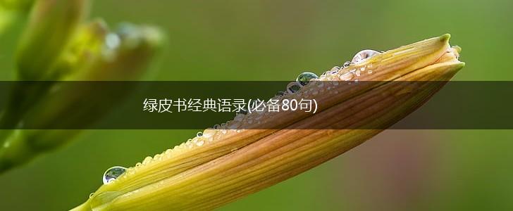 绿皮书经典语录(必备80句),第1张