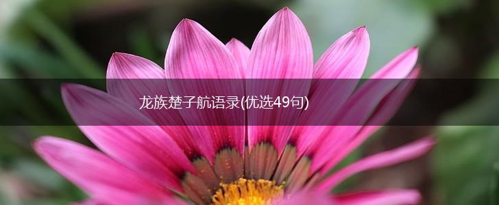 龙族楚子航语录(优选49句),第1张