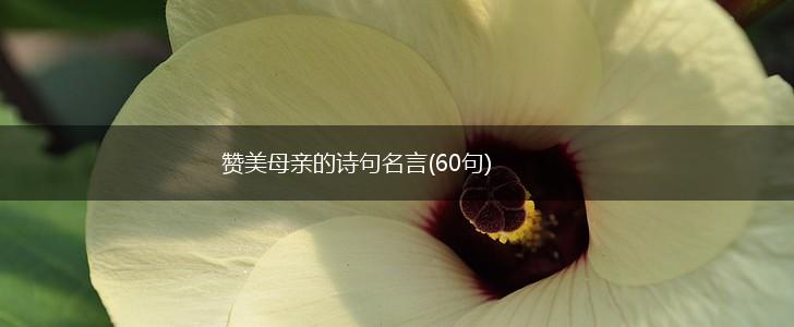 赞美母亲的诗句名言(60句),第1张