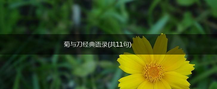 菊与刀经典语录(共11句),第1张