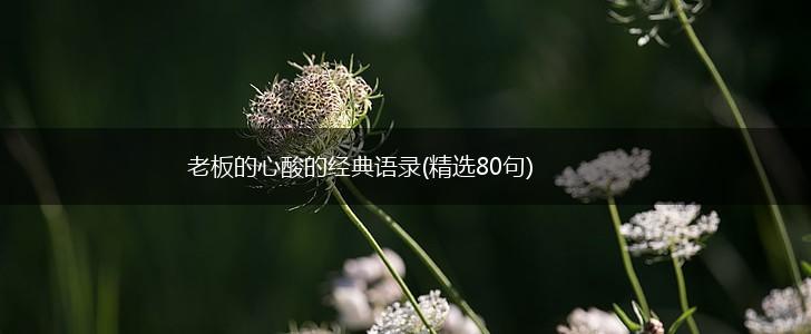 老板的心酸的经典语录(精选80句),第1张