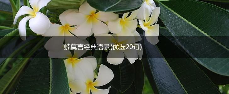 蛙莫言经典语录(优选20句),第1张