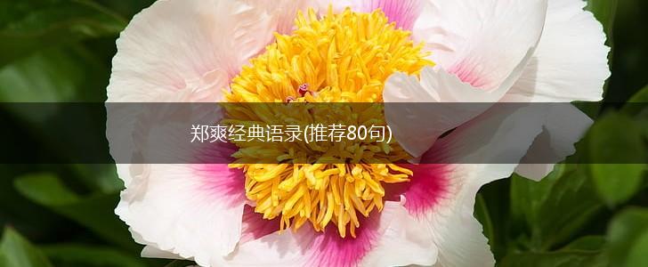 郑爽经典语录(推荐80句),第1张