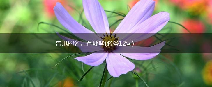 鲁迅的名言有哪些(必备12句),第1张