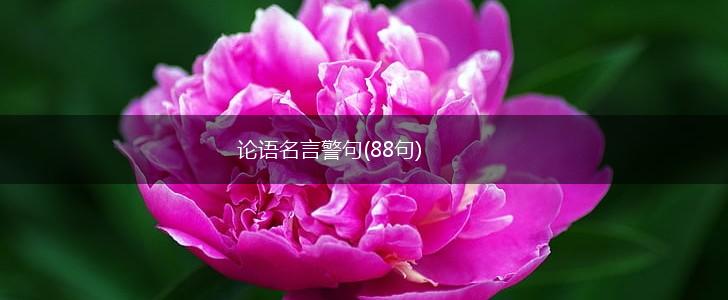 论语名言警句(88句),第1张 论语名言警句(88句),第1张