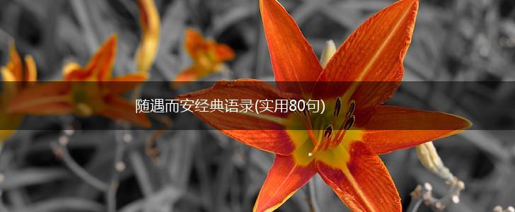 随遇而安经典语录(实用80句),第1张