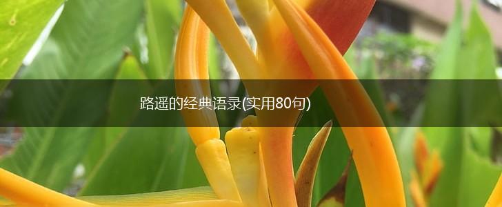 路遥的经典语录(实用80句),第1张