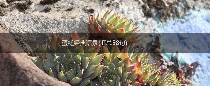 蛋糕经典语录(汇总58句),第1张