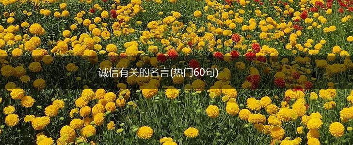 诚信有关的名言(热门60句),第1张