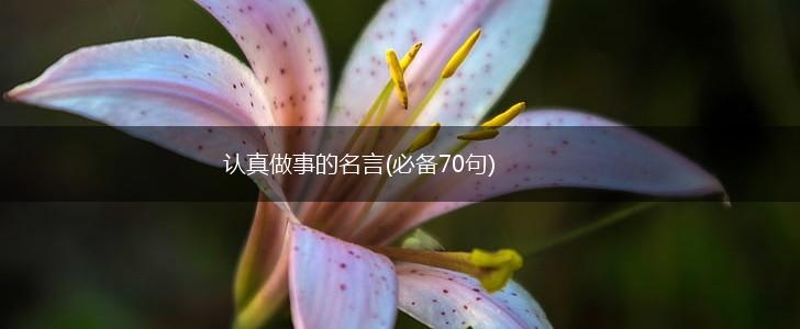 认真做事的名言(必备70句),第1张 认真做事的名言(必备70句),第1张