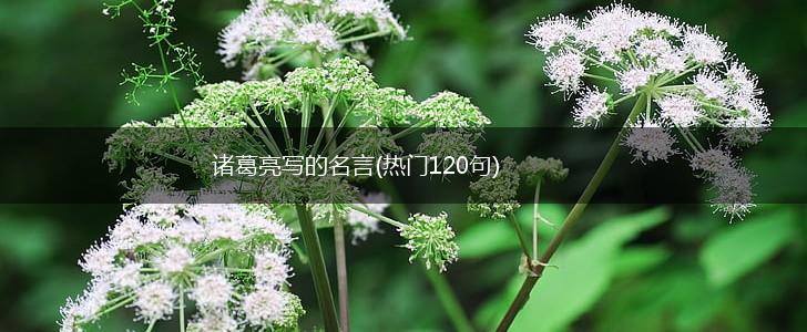 诸葛亮写的名言(热门120句),第1张 诸葛亮写的名言(热门120句),第1张