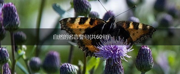 自然的名言警句(共60句),第1张