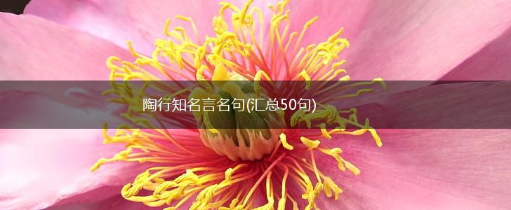 陶行知名言名句(汇总50句),第1张