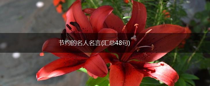 节约的名人名言(汇总48句),第1张 节约的名人名言(汇总48句),第1张