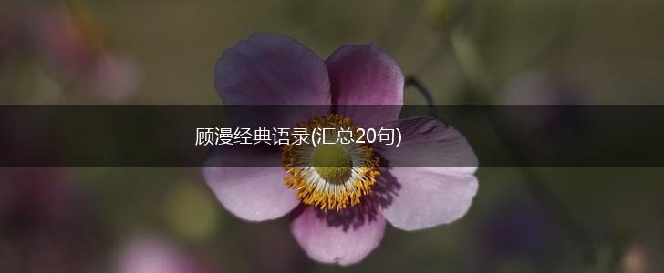 顾漫经典语录(汇总20句),第1张