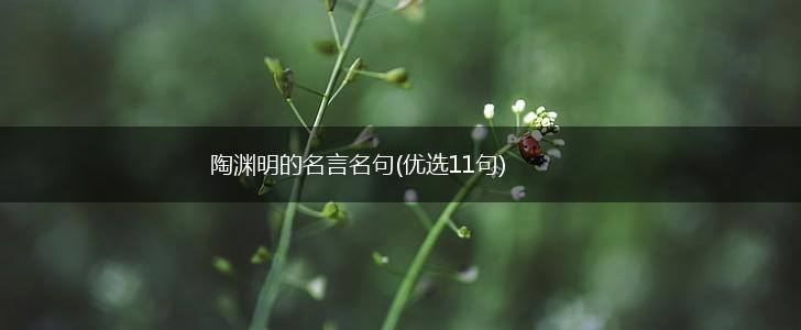 陶渊明的名言名句(优选11句),第1张