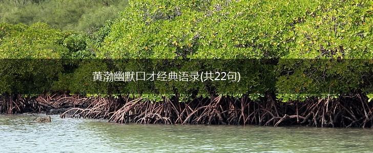 黄渤幽默口才经典语录(共22句),第1张