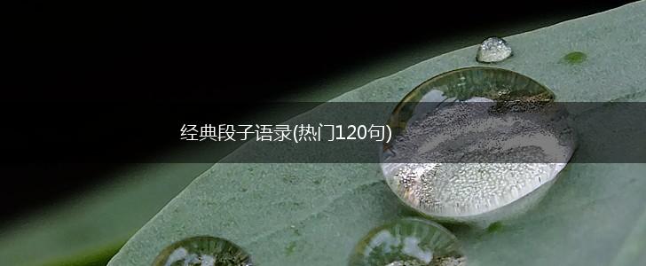 经典段子语录(热门120句),第1张