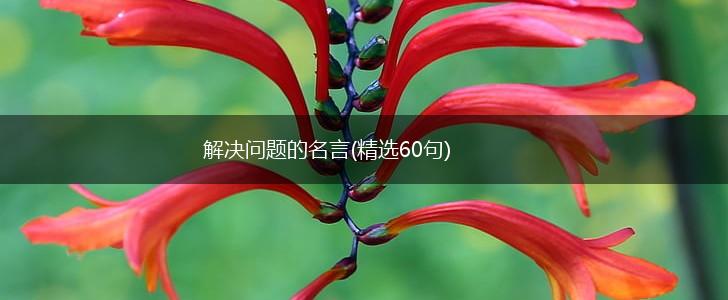 解决问题的名言(精选60句),第1张
