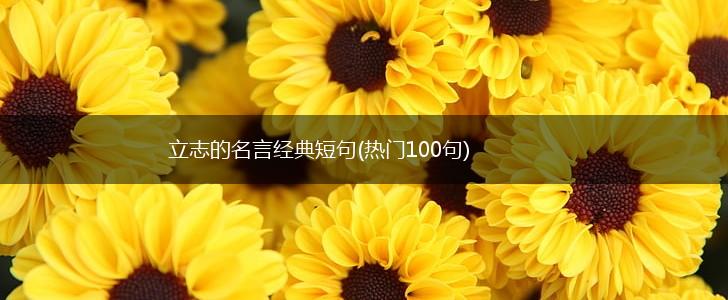 立志的名言经典短句(热门100句),第1张