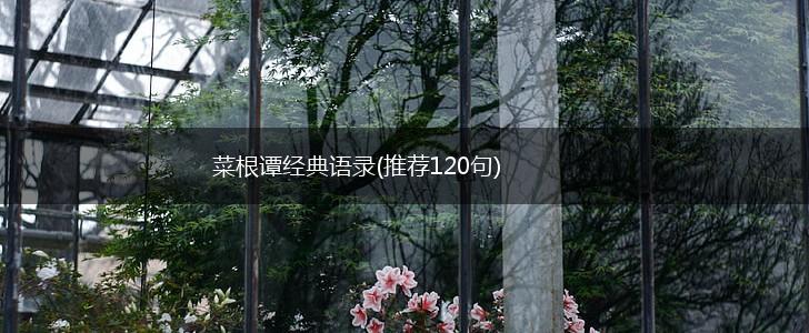 菜根谭经典语录(推荐120句),第1张