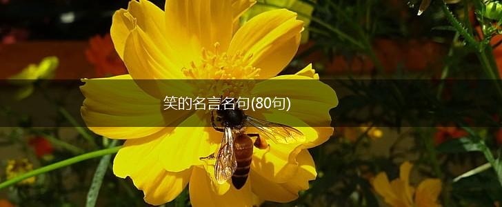 笑的名言名句(80句),第1张 笑的名言名句(80句),第1张