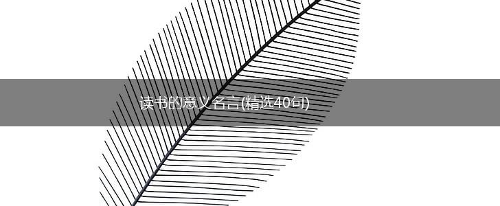 读书的意义名言(精选40句),第1张