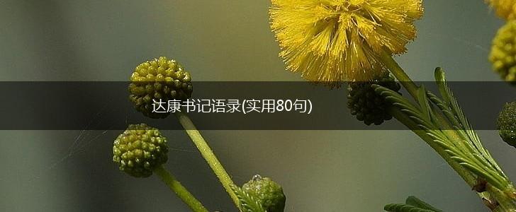 达康书记语录(实用80句),第1张