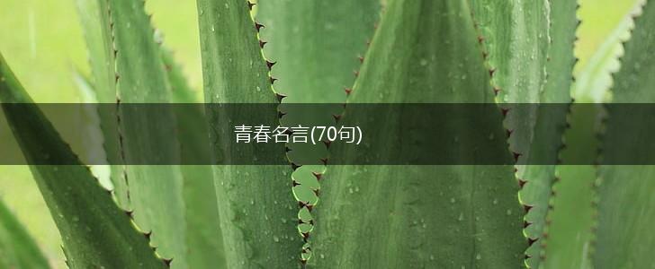 青春名言(70句),第1张
